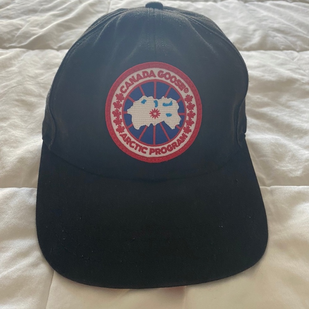 Canada goose